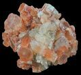 Aragonite Twinned Crystal Cluster - Morocco #59796-1